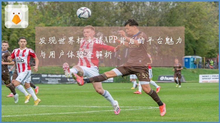 发现世界杯竞猜APP背后的平台魅力与用户体验全解析