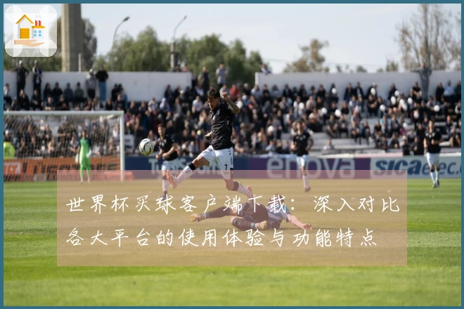 世界杯买球客户端下载：深入对比各大平台的使用体验与功能特点