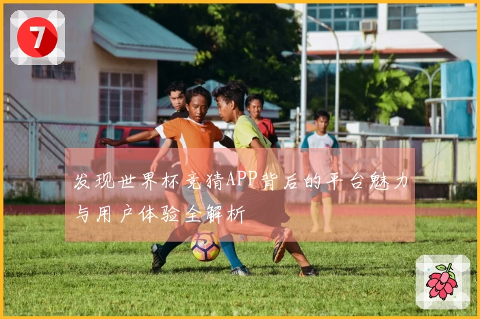 发现世界杯竞猜APP背后的平台魅力与用户体验全解析