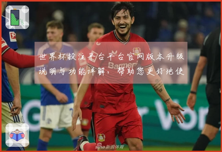 世界杯投注平台平台官网版本升级说明与功能详解，帮助您更好地使用平台