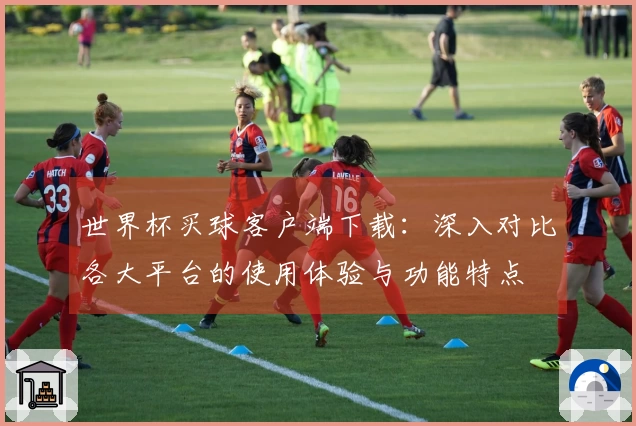 世界杯买球客户端下载：深入对比各大平台的使用体验与功能特点